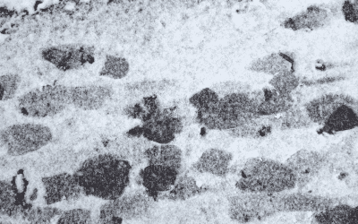 Asphalt in Winter: Thriving Through Canada’s Harsh Cold
